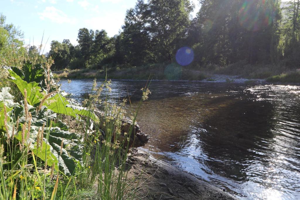 a river with some grass and a body of water at Hostal Santa Maria Huife in Pucón