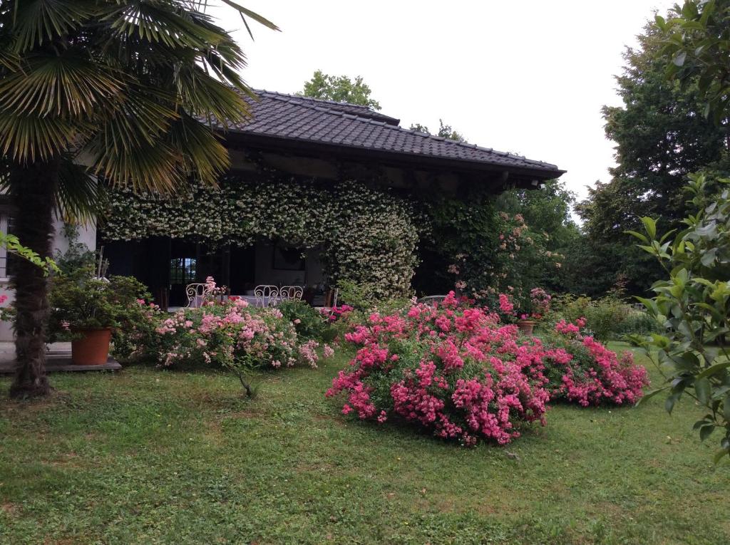 Tricesimo的住宿－Le querce，一座花园,在房子前方种有粉红色的花朵