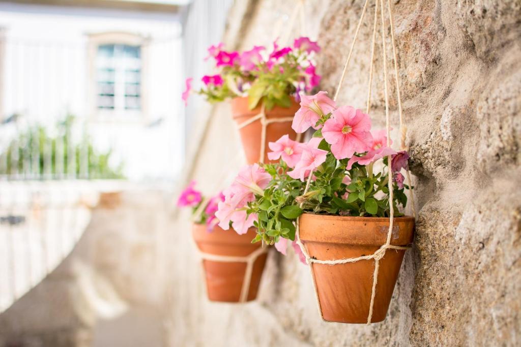 Um jardim no exterior de Casa das Muralhas