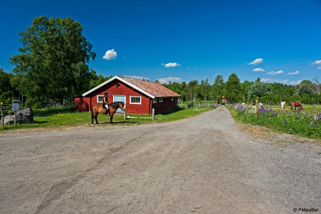 Příroda nedaleko hostelu