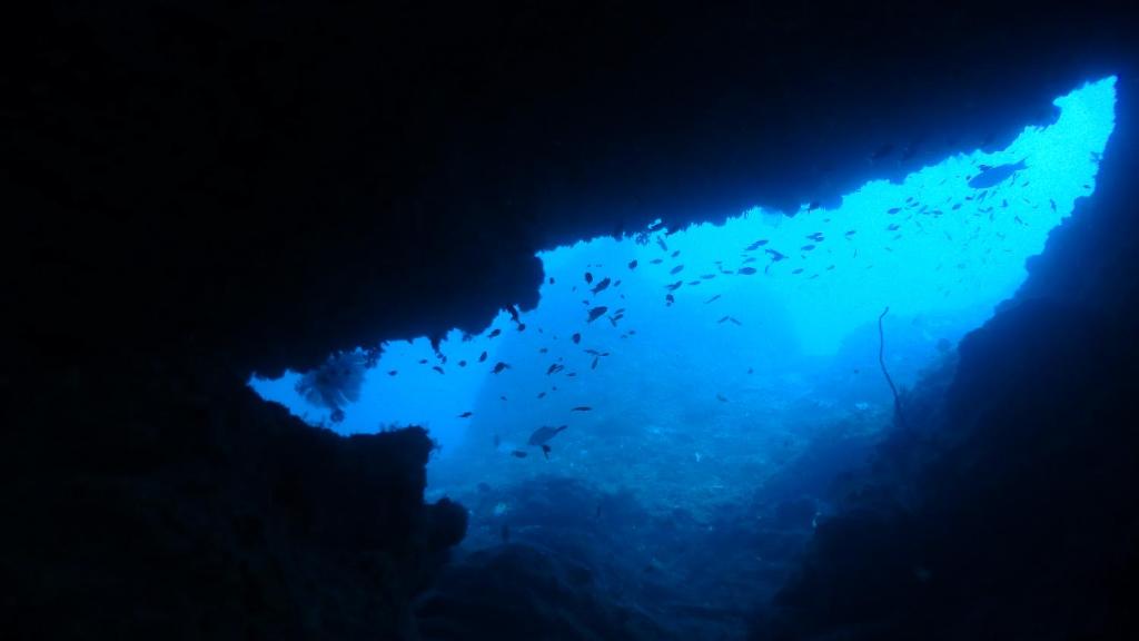 Paesaggio naturale nelle vicinanze dell'ostello