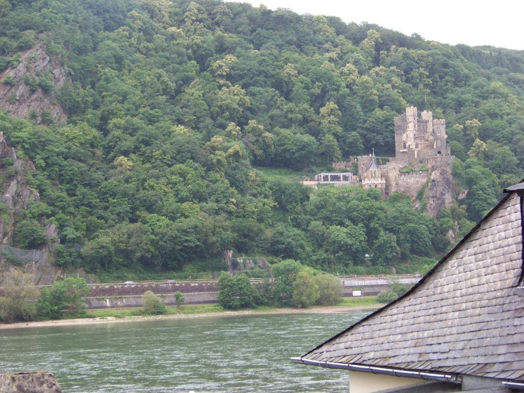 Pension Milberg Assmannshausen - Grande Chambre Double