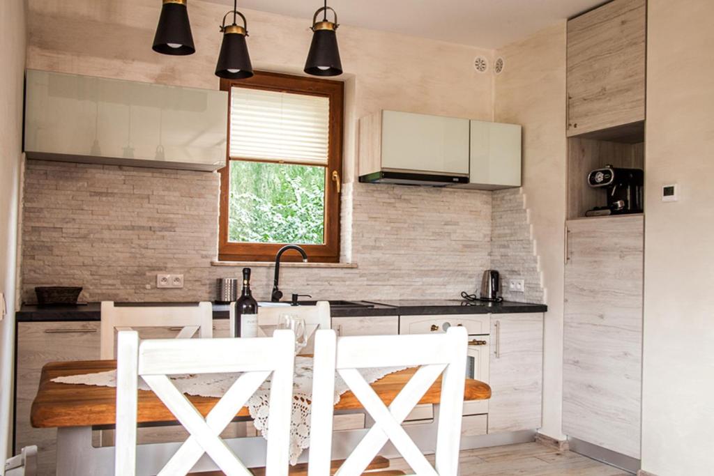 Kuchyňa alebo kuchynka v ubytovaní Apartament Pod Modrzewiami
