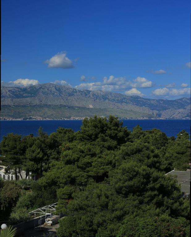 Hotel Villa Adriatica - Adults Only - 海景高级双人或双床间 - 带阳台