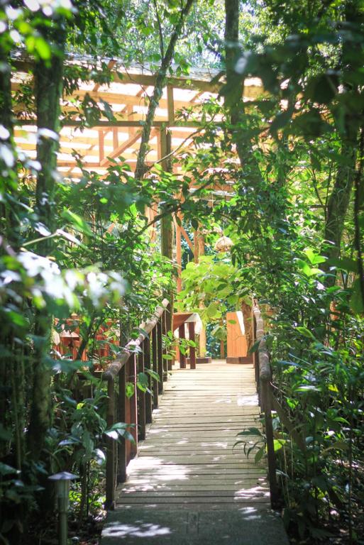 Zahrada ubytování Hotel Wagelia Espino Blanco