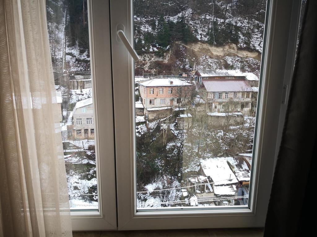 Apartment Erekle v zimě
