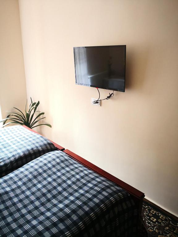 TV a/nebo společenská místnost v ubytování Apartment Erekle