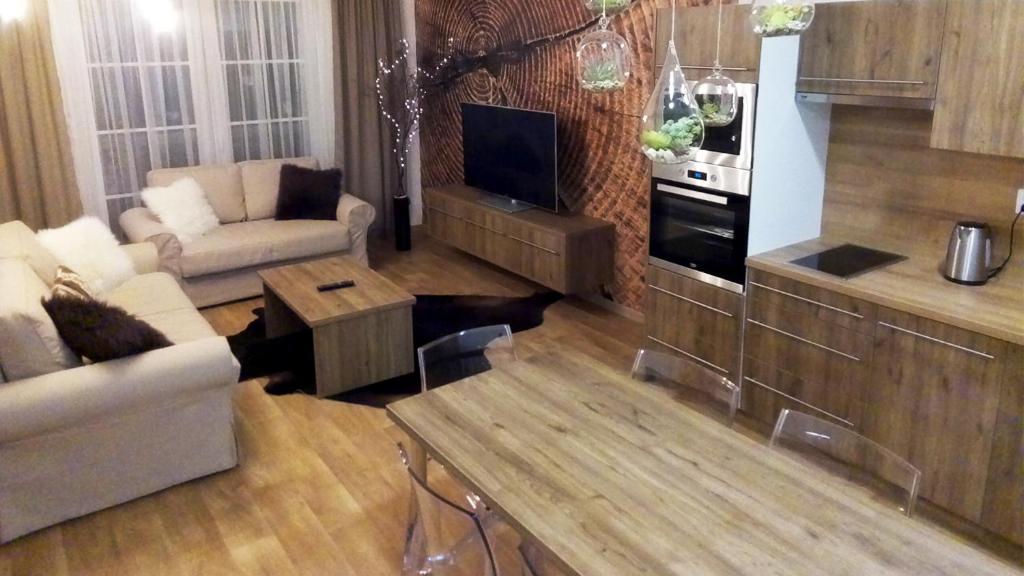 a living room with a couch and a tv in it at Nový Apartmán Říčky in Říčky