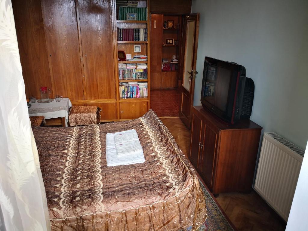 TV a/nebo společenská místnost v ubytování Apartment Erekle