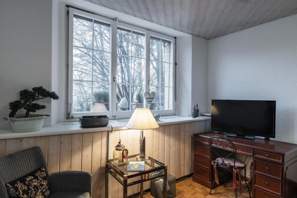 TV a/nebo společenská místnost v ubytování Art Deco Villa Mon Abri BnB