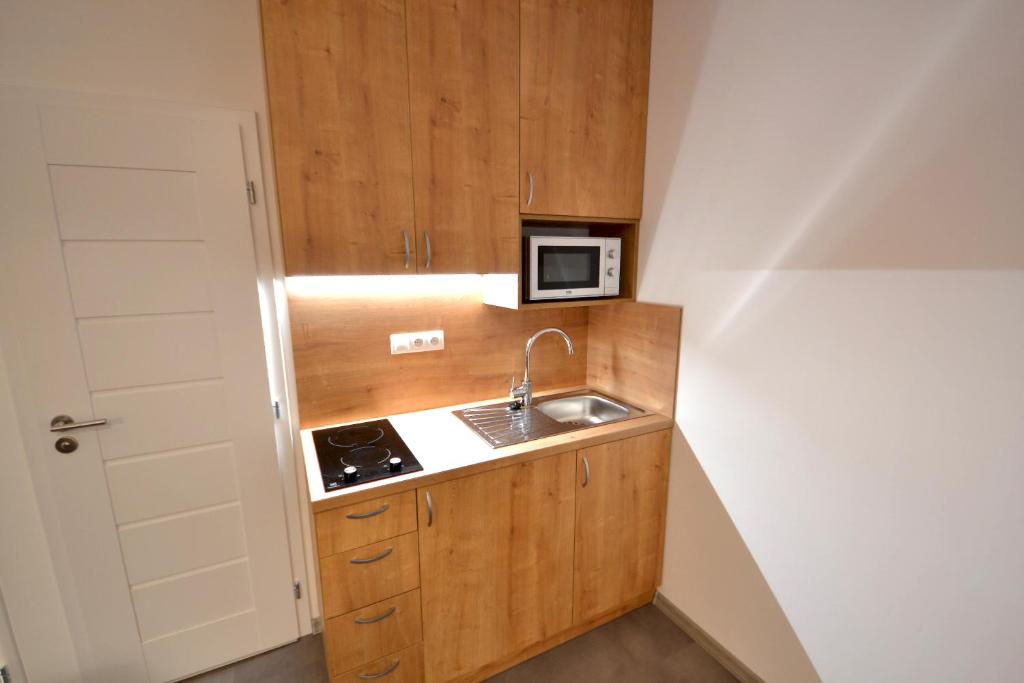 Kuchyň nebo kuchyňský kout v ubytování ff apartments Jasná Lúčky