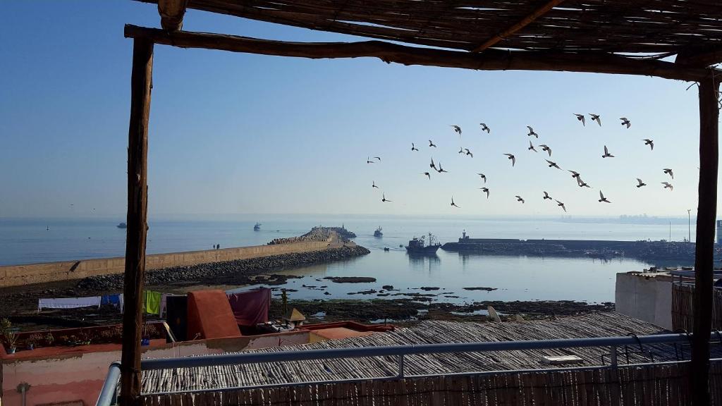 una manada de aves volando sobre un cuerpo de agua en Dar lhadja en El Jadida
