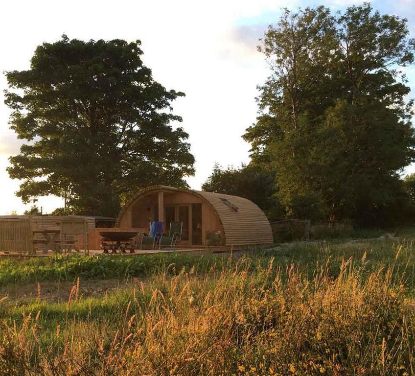 a round wooden cabin in a field with trees at Brynllwyd Glamping in Devils Bridge