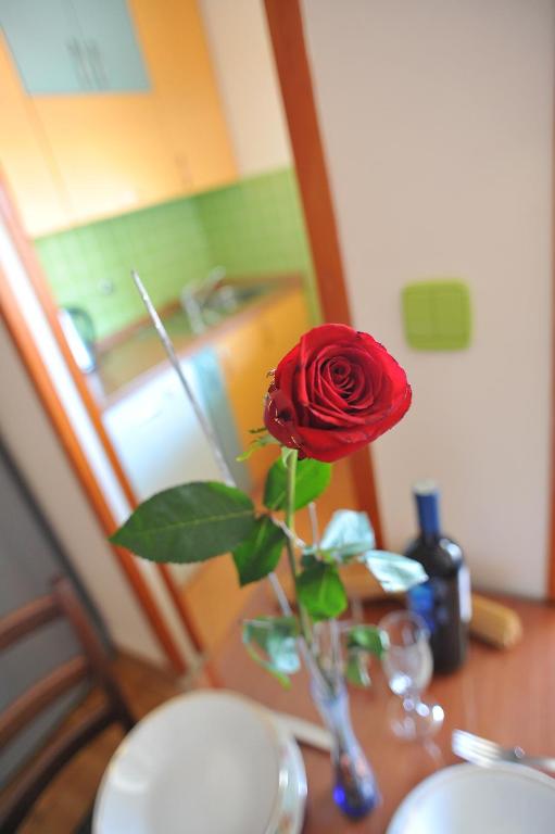 Zadar Old Town Apartments II - 12