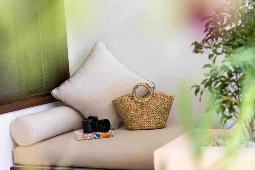 אננטרה הוי אן Anantara Hoi An Resort – תמונה 6