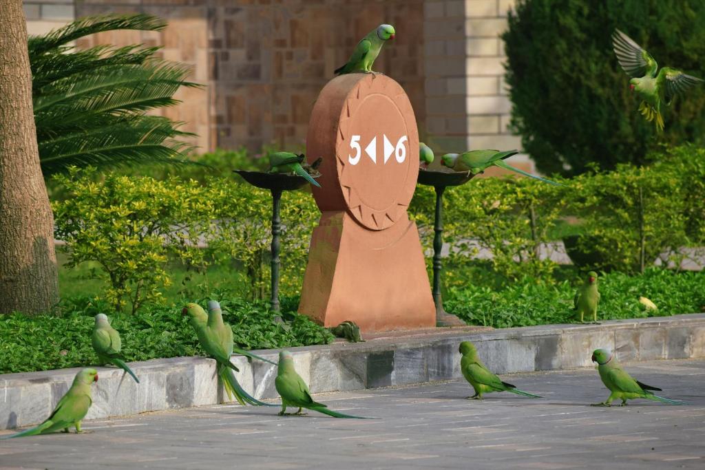 Zahrada ubytování Shri Radha Brij Vasundhara Resort & Spa
