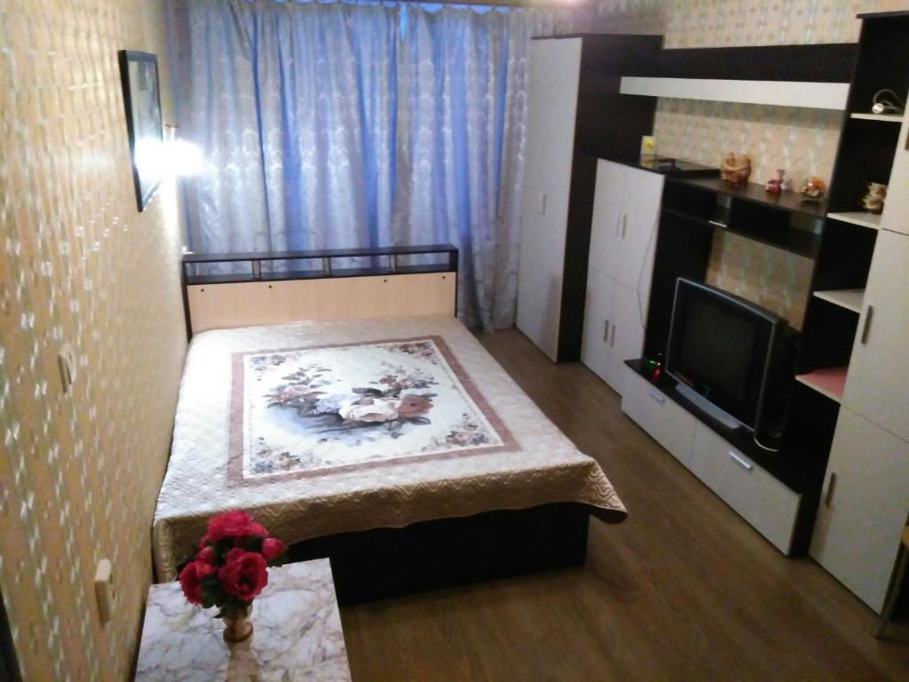 ペトロザヴォーツクにあるApartment Kovalevskoy 7のベッド1台とテレビが備わる小さな客室です。