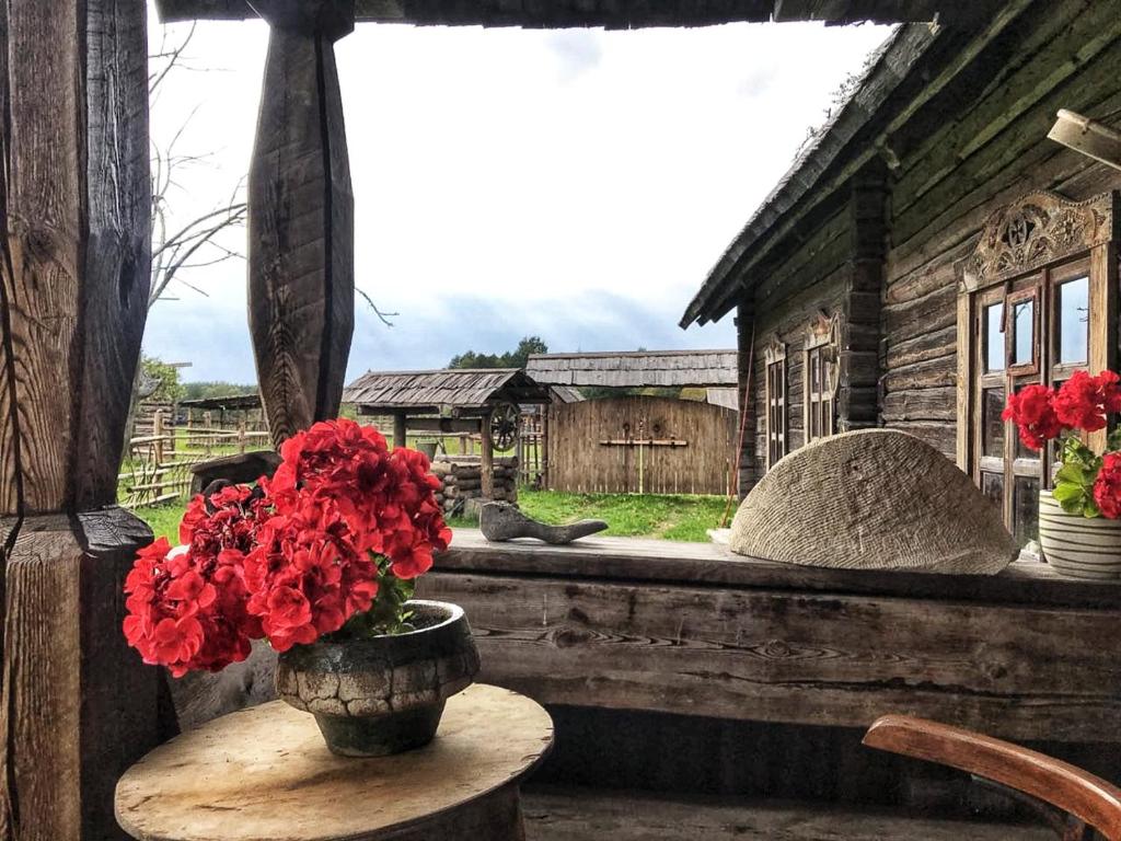 a vase with red flowers on a table in front of a window at Zabrodje - Village Museum in Zabrodye 