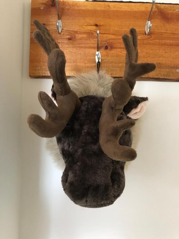 Boerderij de Waard - One-Bedroom Suite