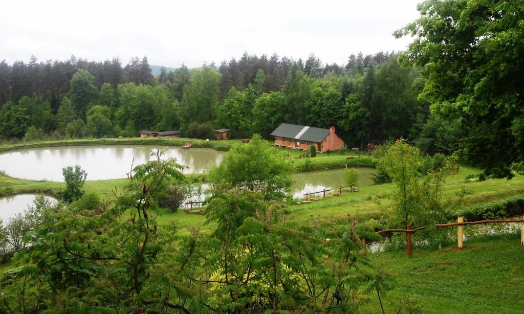 een vijver met een huis in het midden van een veld bij Dolina 4 Stawów in Krzywcza