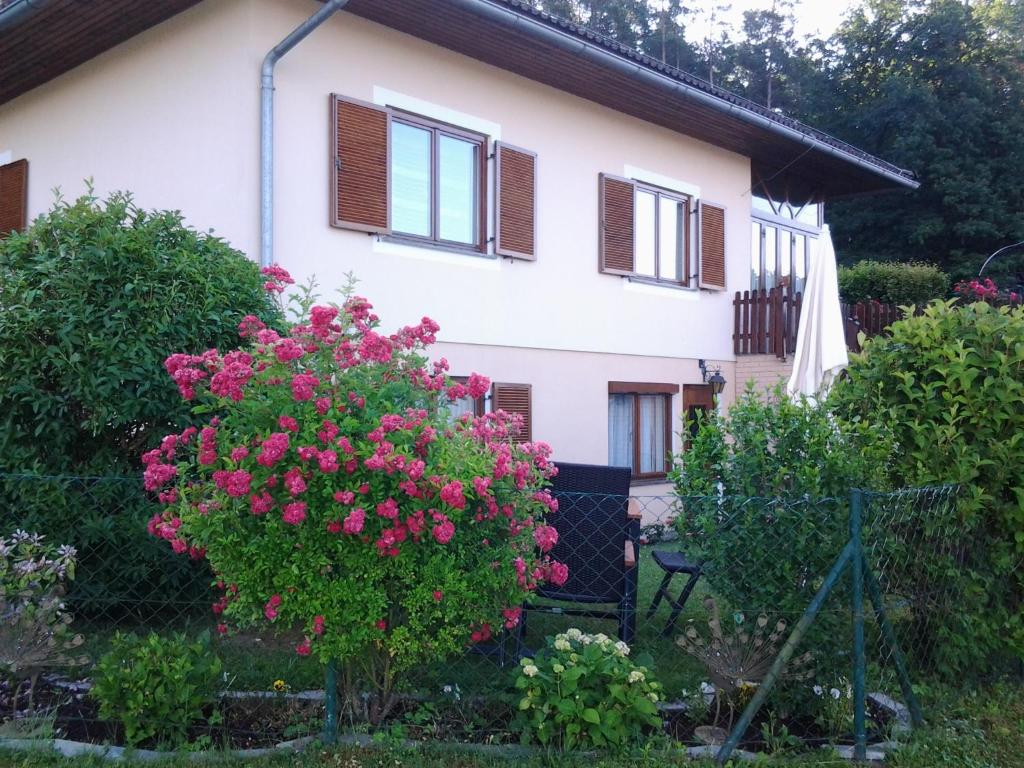 Zahrada ubytování Ferienwohnung-Hajek