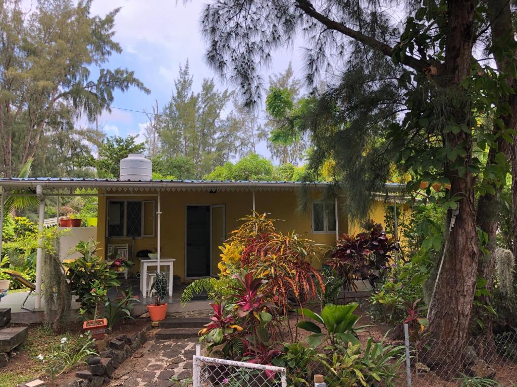 Una casa amarilla con plantas delante. en Case Cassia en Riambel