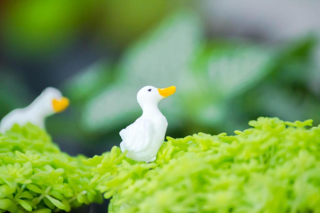 Moca Hotel - Resim 30