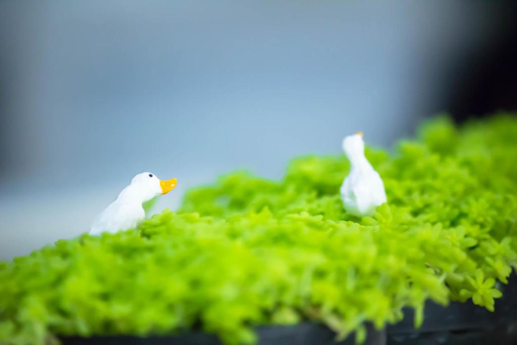 Moca Hotel - Resim 32