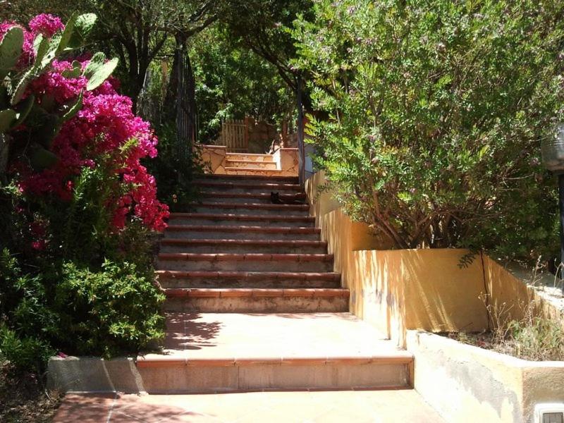 a set of stairs in a garden with pink flowers at Sardinia Yellow House in Solanas