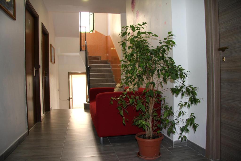 Fotografie z fotogalerie ubytování Hotel Adelchi v Miláně