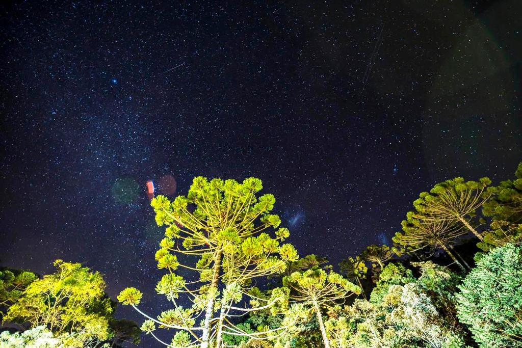 Estalagem Engenho de Serra - Parque Nacional do Itatiaia - Parte Alta