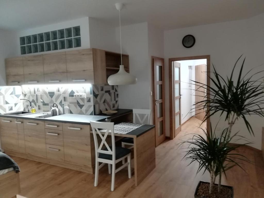 Kuchyň nebo kuchyňský kout v ubytování Apartmány U Holubů