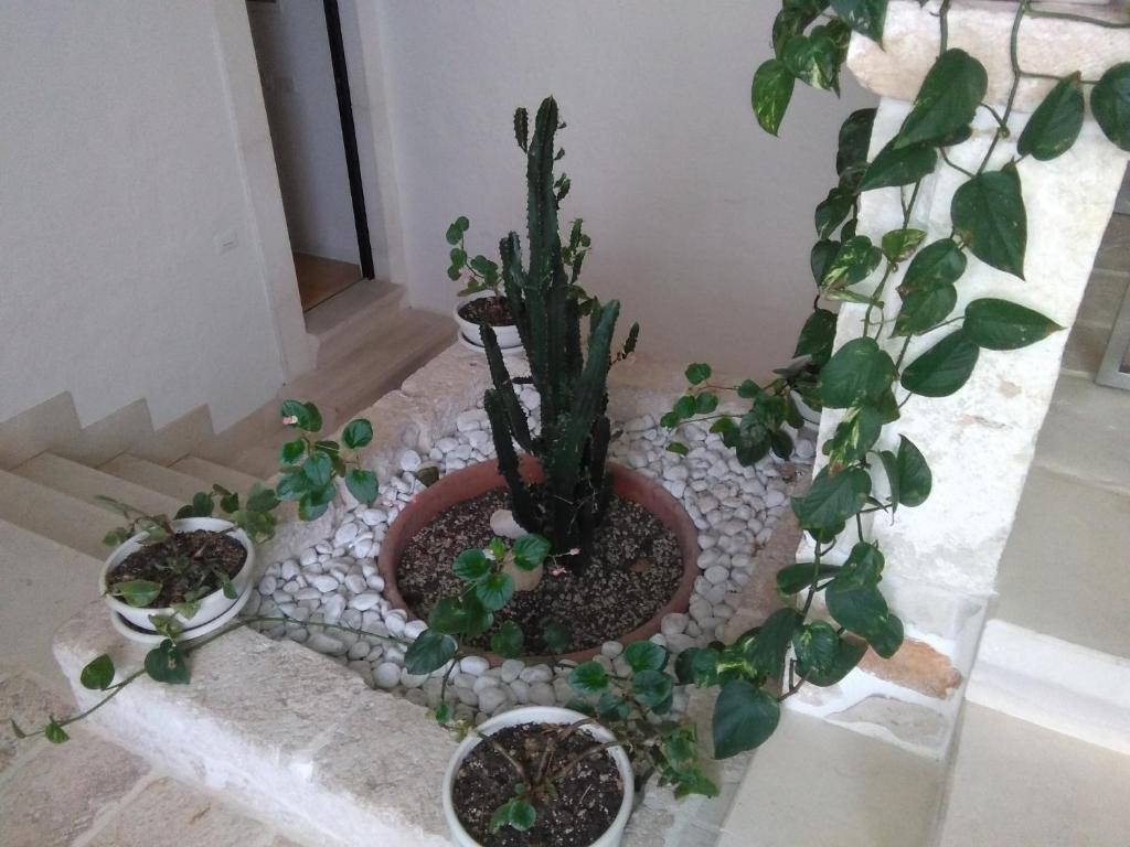 ARCOBELLO Suite Rooms - 19