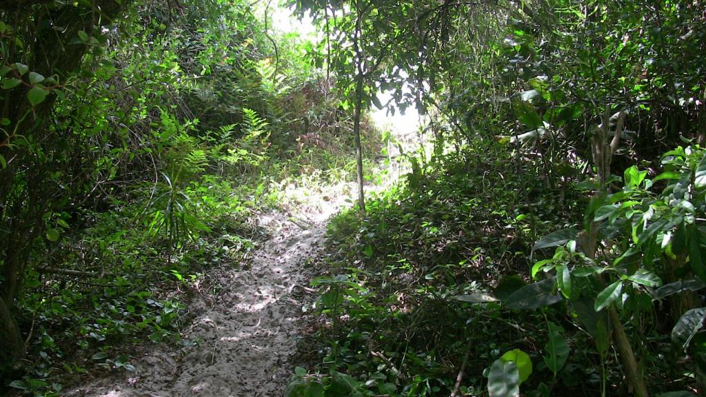  Caribe da Ilha