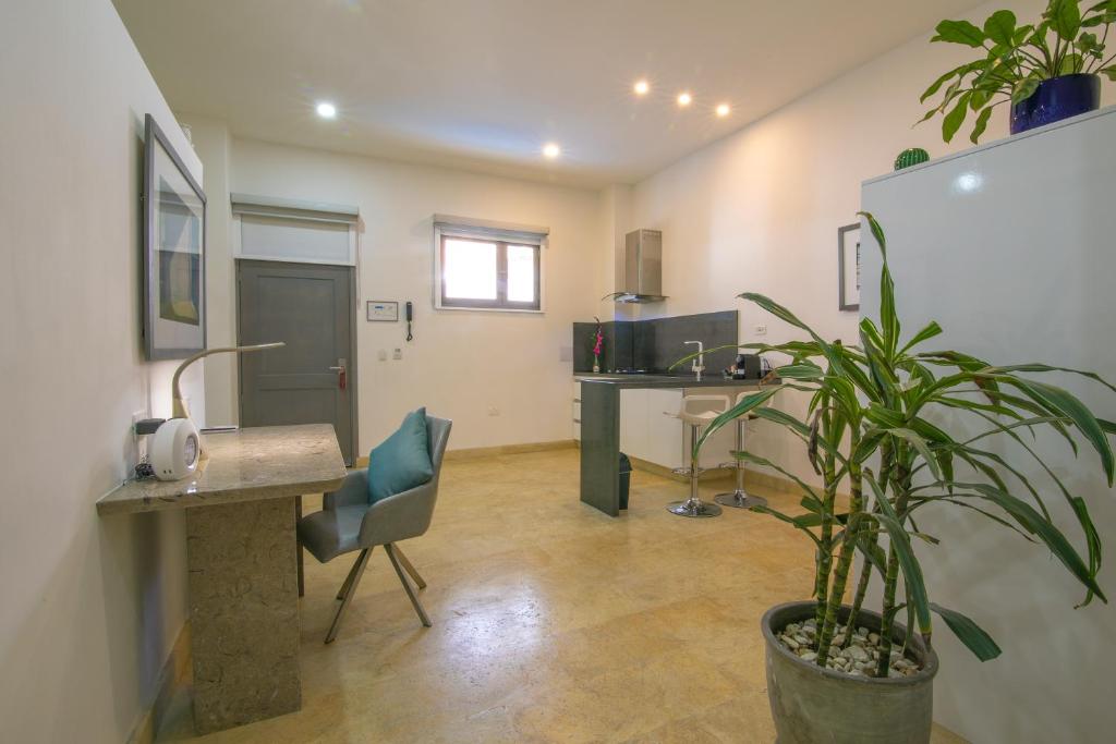 Kuchyň nebo kuchyňský kout v ubytování El Cactus Luxury Apartments in Historic Center