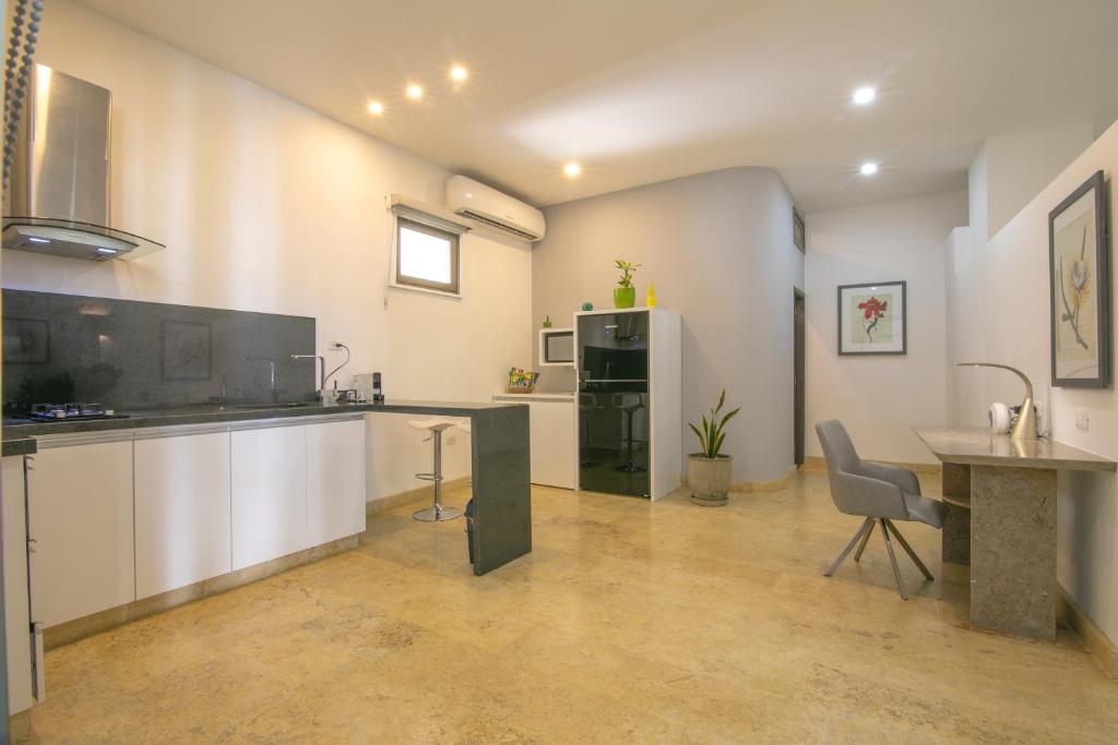 Kuchyň nebo kuchyňský kout v ubytování El Cactus Luxury Apartments in Historic Center