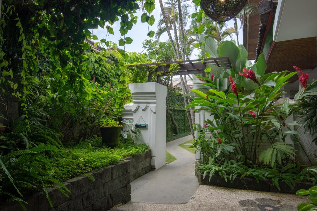 Zahrada ubytování Sanur House