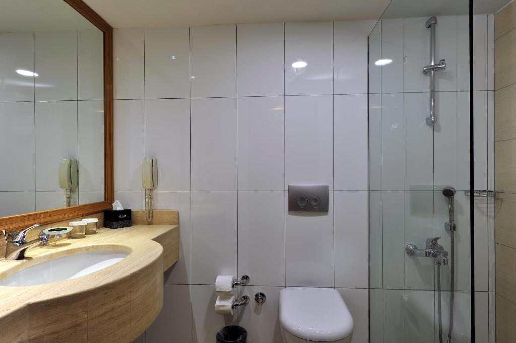a bathroom with a shower and a sink and a toilet at Divan Istanbul City in Istanbul