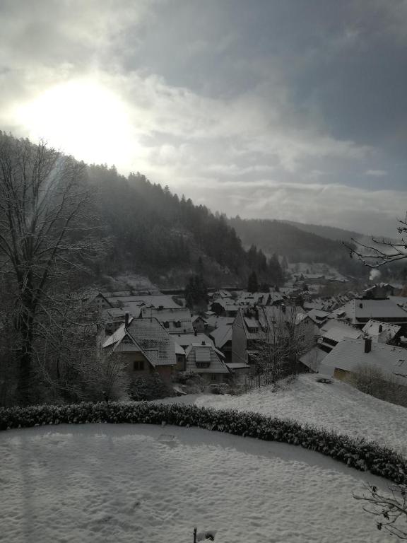 トートモースにあるHotel La Quinta - adults onlyの雪に覆われた町
