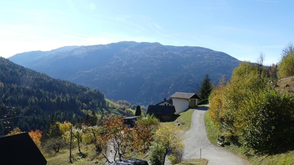 Příroda nedaleko apartmánu