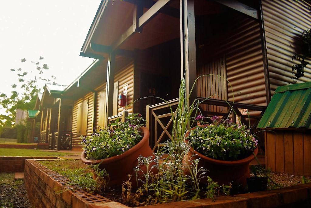 un groupe de plantes en pot devant un bâtiment dans l'établissement Cabañas Utty, à Puerto Iguazú