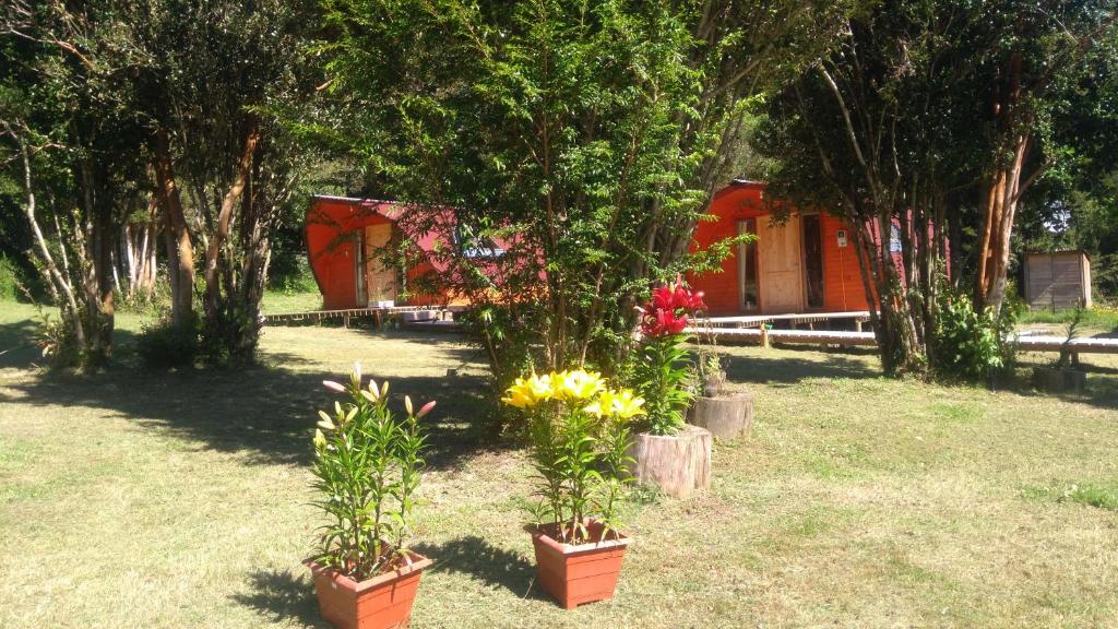 Zahrada ubytování Eco Cabañas Wanderlust