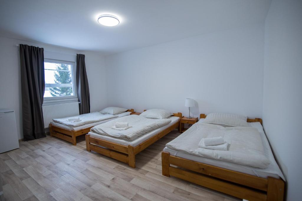 pokój z 3 łóżkami i oknem w obiekcie Apartment Šarka w mieście HoÅ¡Å¥ka