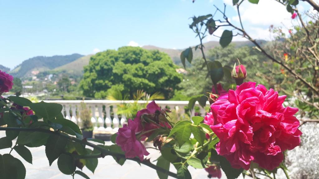  Morada Recanto das Flores