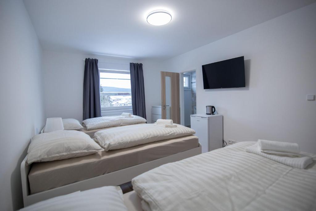 a room with three beds and a flat screen tv at Apartment Tereza in HoÅ¡Å¥ka