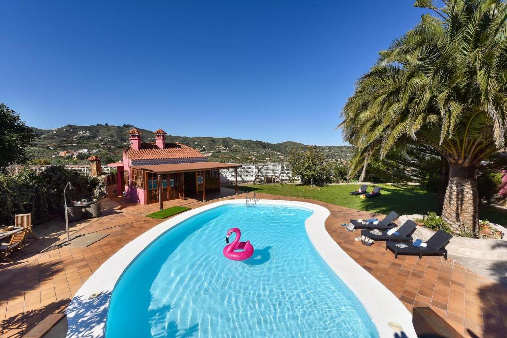 une piscine avec un cygne rose au milieu dans l'établissement Finca Madroñal with Pool in Gran Canaria, à Santa Brígida