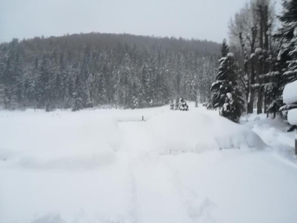 Pokoje goscinne na Gasienicowym Potoku v zime