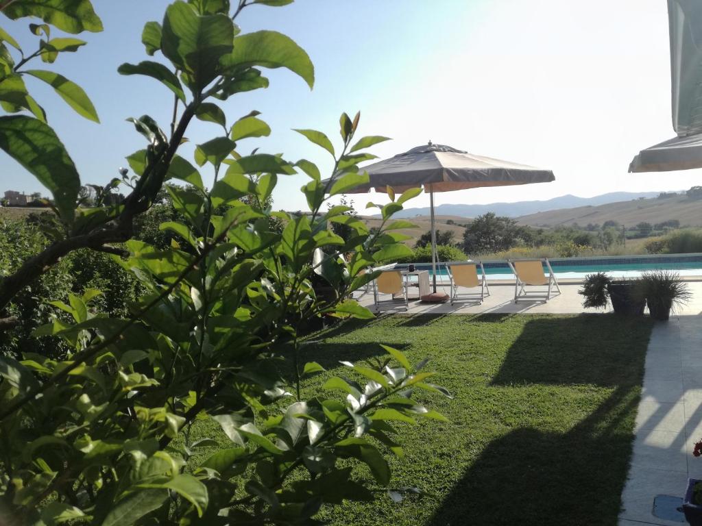 eine Terrasse mit Stühlen und einem Sonnenschirm neben einem Pool in der Unterkunft Agriturismo Podere il Fornacino in Santa Luce