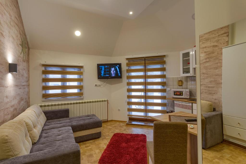 sala de estar con sofá y TV en Omiljeni Apartments en Zlatibor