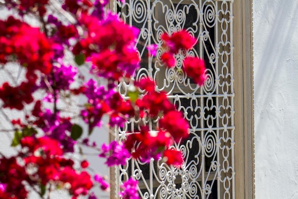 Fotografie z fotogalerie ubytování Riad Clémentine v Marrákéši